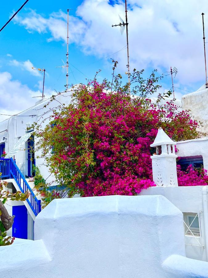 Provis Rentals Suite Next To The Mills In Mykonos Town المظهر الخارجي الصورة
